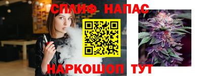 соль ск Будённовск